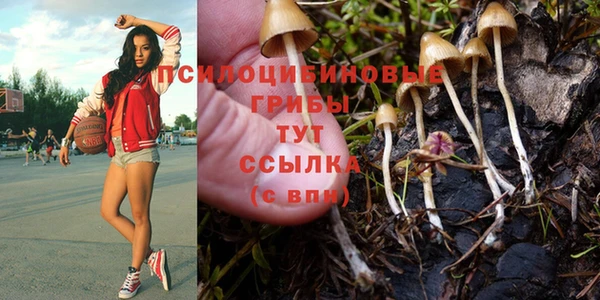 мет Семёнов