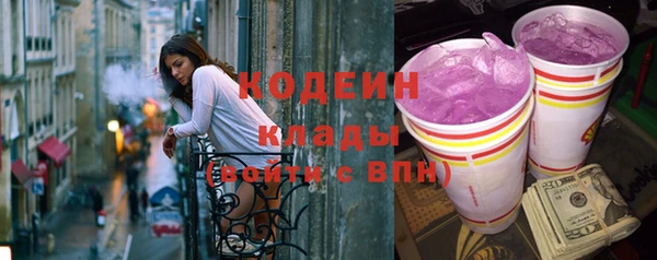 крисы Вяземский