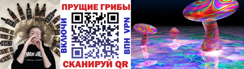 KRAKEN tor Дубовка Галлюциногенные грибы Magic Shrooms